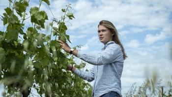 Imagem de Uma jovem líder portuguesa na área do vinho
