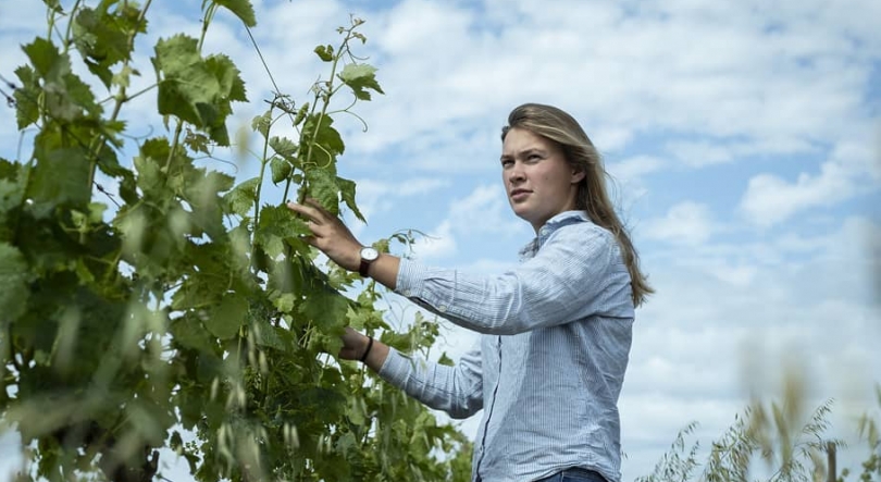 Imagem de Uma jovem líder portuguesa na área do vinho