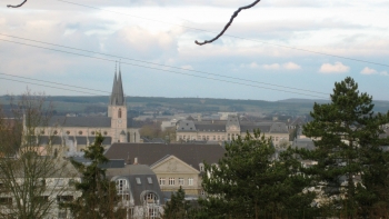 Imagem de Conselheiras apelam a participação eleitoral