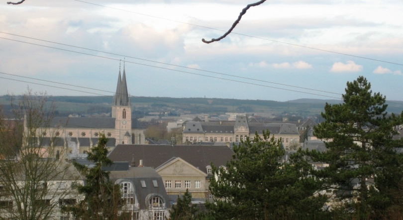 Imagem de Conselheiras apelam a participação eleitoral
