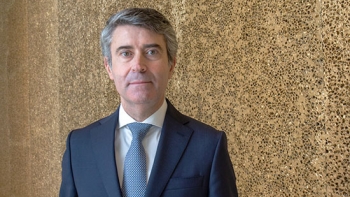 Imagem de Regras eleitorais na mesma e emigrantes mantêm acesso ao SNS