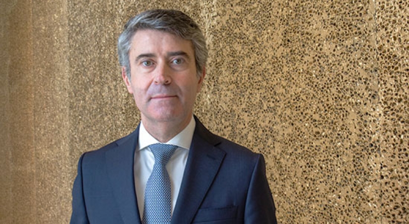 Imagem de Regras eleitorais na mesma e emigrantes mantêm acesso ao SNS