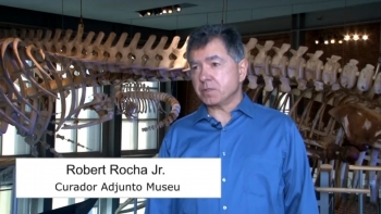 Imagem de Museu da Baleia em New Bedford com contributo de portugueses