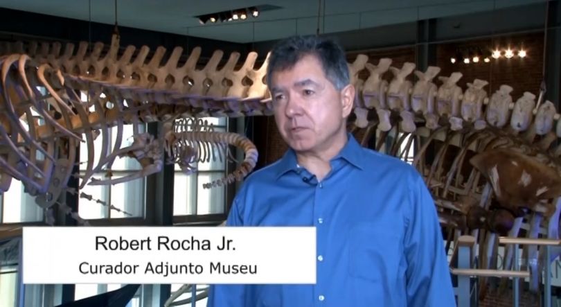 Imagem de Museu da Baleia em New Bedford com contributo de portugueses
