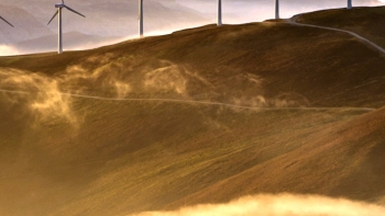 Imagem de Há 5 empresas portuguesas entre as melhores no combate às alterações climáticas