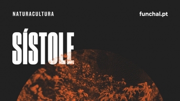 Imagem de Sístole, instalação multimédia dos Açores disponível no Funchal