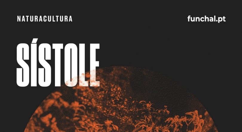 Imagem de Sístole, instalação multimédia dos Açores disponível no Funchal