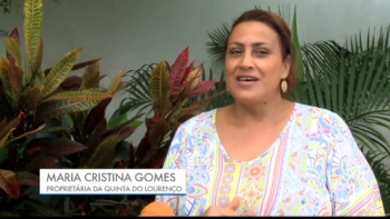 Imagem de Portugueses investem no turismo em Moçambique