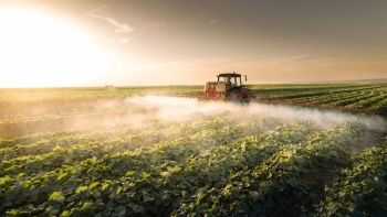 Imagem de Portugal coordena projeto europeu para agricultura digital