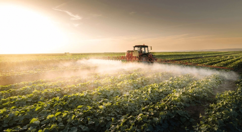 Imagem de Portugal coordena projeto europeu para agricultura digital