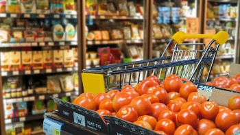 Imagem de Comércio a retalho cai 0,7% na Zona Euro em fevereiro