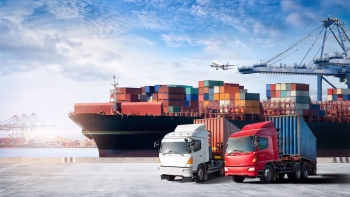 Imagem de 2023 bate recorde na remoção de barreiras fluviais na Europa