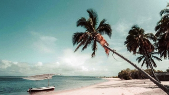 Imagem de Visabeira ganha contratos de eletricidade em Moçambique