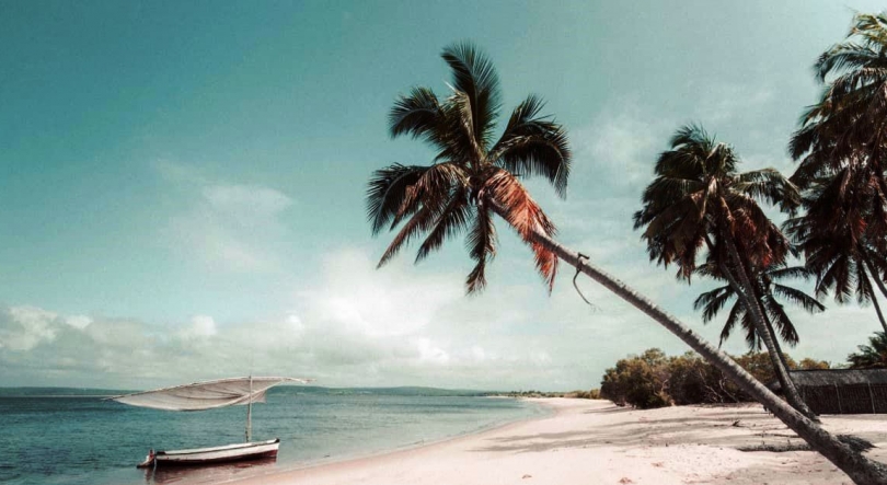 Imagem de Visabeira ganha contratos de eletricidade em Moçambique