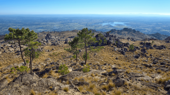 Imagem de Castelo Branco lança guia para captar investimento no concelho