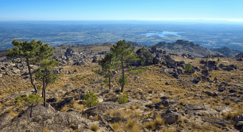 Imagem de Castelo Branco lança guia para captar investimento no concelho