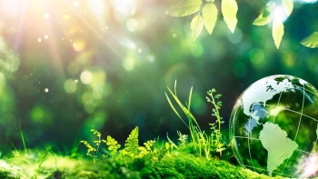 Imagem de Simpósio Internacional Sustainability and Green Transition