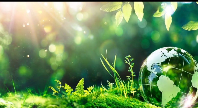 Imagem de Simpósio Internacional Sustainability and Green Transition