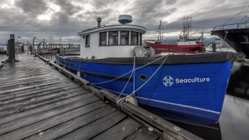 Imagem de Aquacultura offshore segue as melhores práticas ambientais