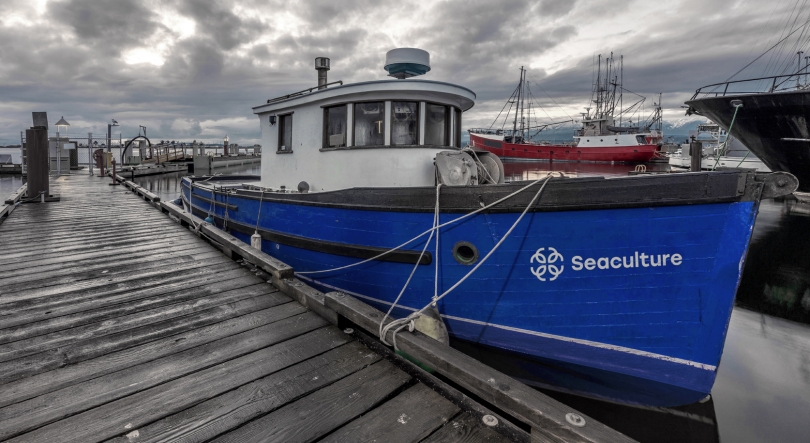 Imagem de Aquacultura offshore segue as melhores práticas ambientais