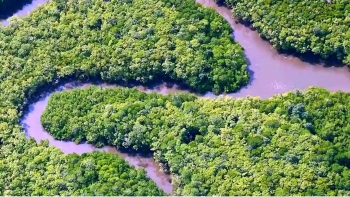 Imagem de Planeta A: Compensação Carbónica