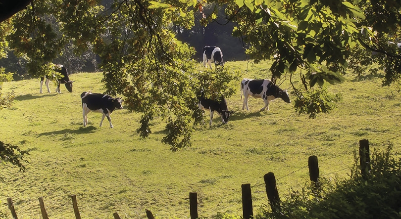 Imagem de Planeta A: Qual o setor mais poluente do mundo?