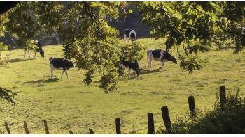 Imagem de Planeta A: Qual o setor mais poluente do mundo?