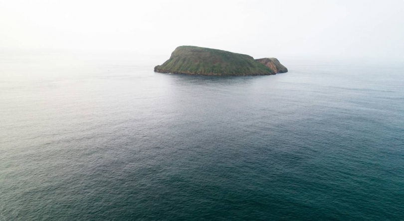 Imagem de Havia uma barracuda-gigante na ilha