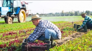 Imagem de Planeta A: Produção Local