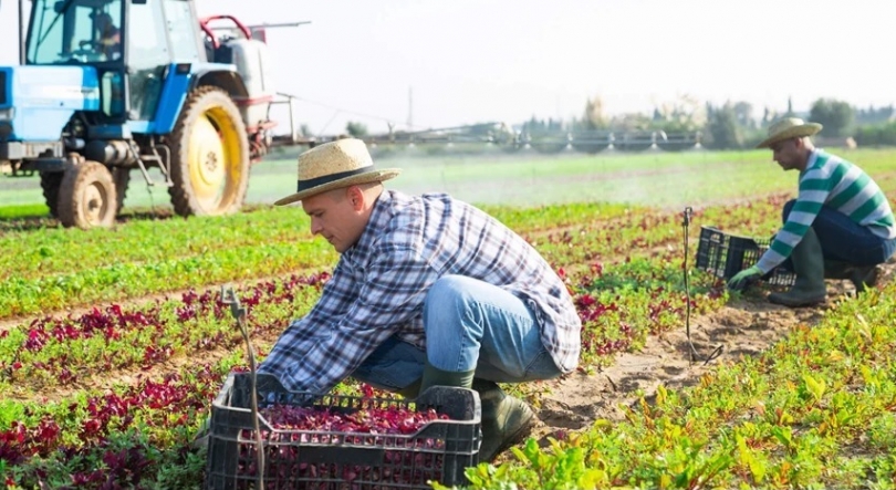 Imagem de Planeta A: Produção Local