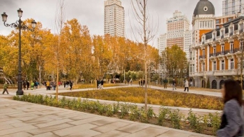 Imagem de Revisão em alta dos números da emigração, nos últimos anos