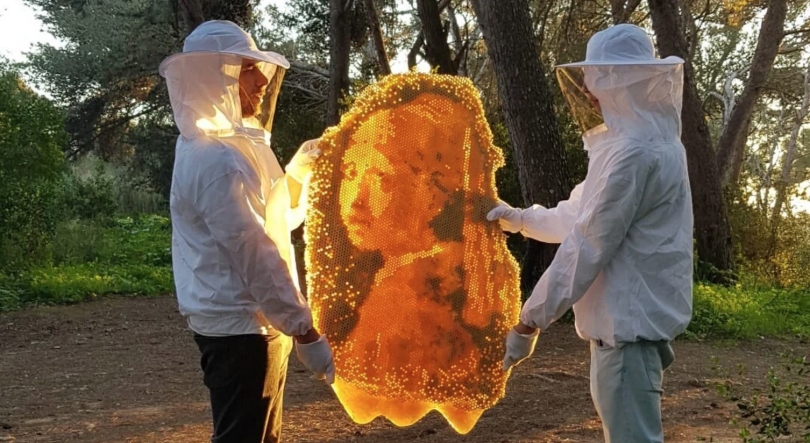 Imagem de Tomás João aka Nature the Artist