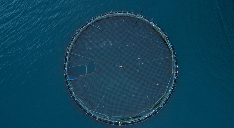 Imagem de B2E CoLAB convidado para plataforma de referência europeia