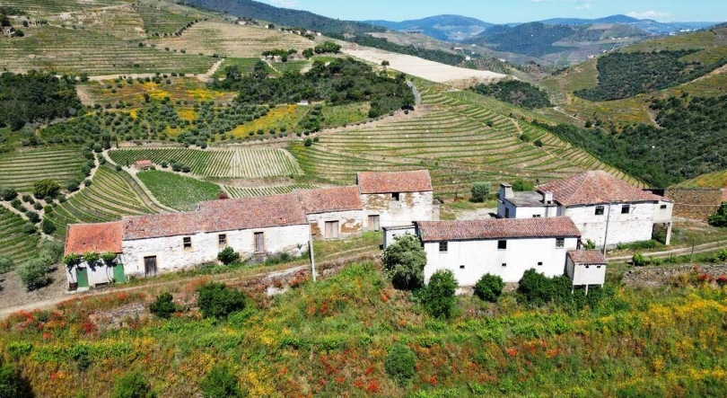 Imagem de Apelo ao registo de propriedades em Portugal