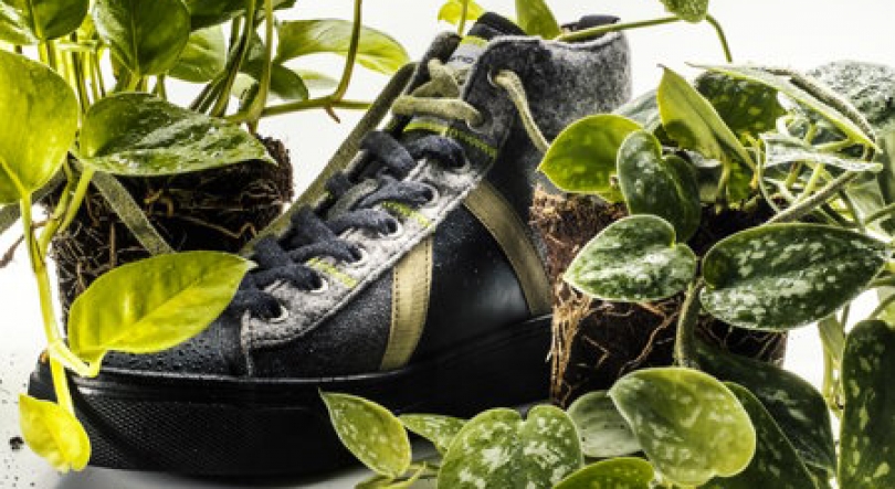 Imagem de Tintex Textiles e Savana criam sapatilhas sustentáveis