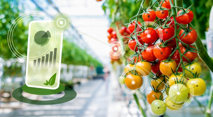 Imagem de Feira Vertifarm de 8 a 10 de outubro em Dortmund