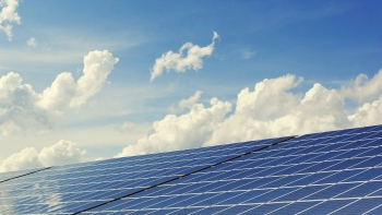 Imagem de BNZ inicia construção do primeiro projeto solar em Portugal