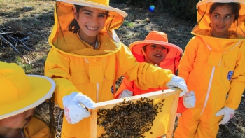 Imagem de As Colmeias da Joana