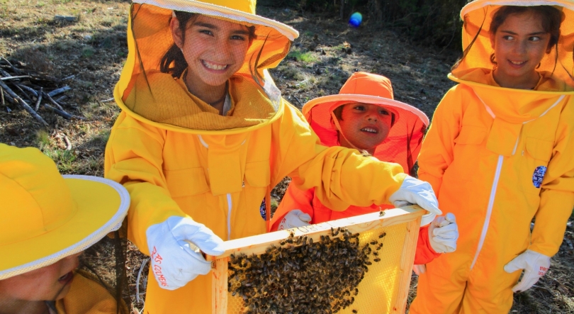 Imagem de As Colmeias da Joana