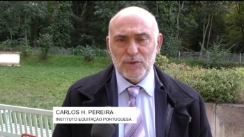 Imagem de 20 anos do Instituto do Cavalo e da Equitação Portuguesa