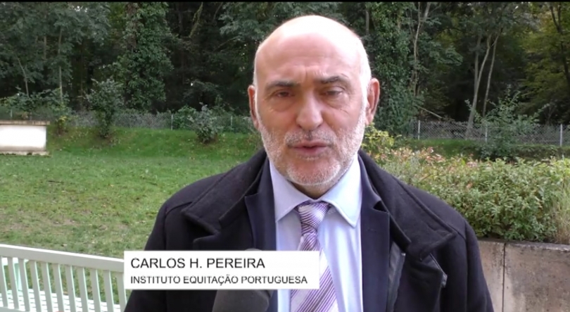 Imagem de 20 anos do Instituto do Cavalo e da Equitação Portuguesa