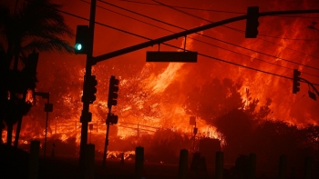 Imagem de Há portugueses afetados pelos grandes incêndios de Los Angeles