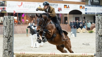 Imagem de Apanhados na Rede:  Marco Boavista, Países Baixos