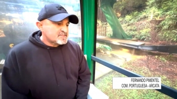 Imagem de Grandes Árvores sustentaram portugueses