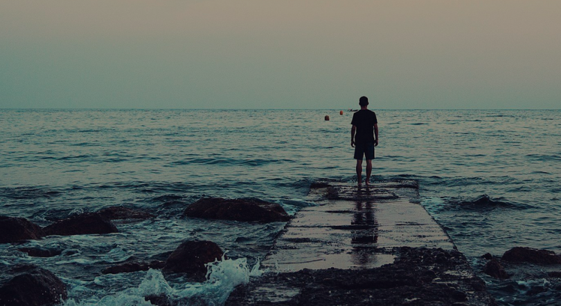 Imagem de Grupo de portugueses desafia a diáspora para transformar Portugal