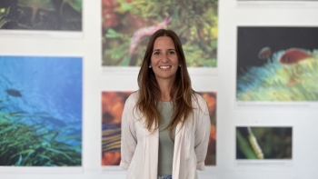 Imagem de Holofote, Vânia Baptista