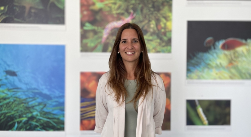 Imagem de Holofote, Vânia Baptista