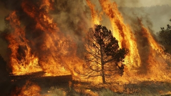 Imagem de Campanha “Emigrante Chama” para reduzir comportamentos de risco