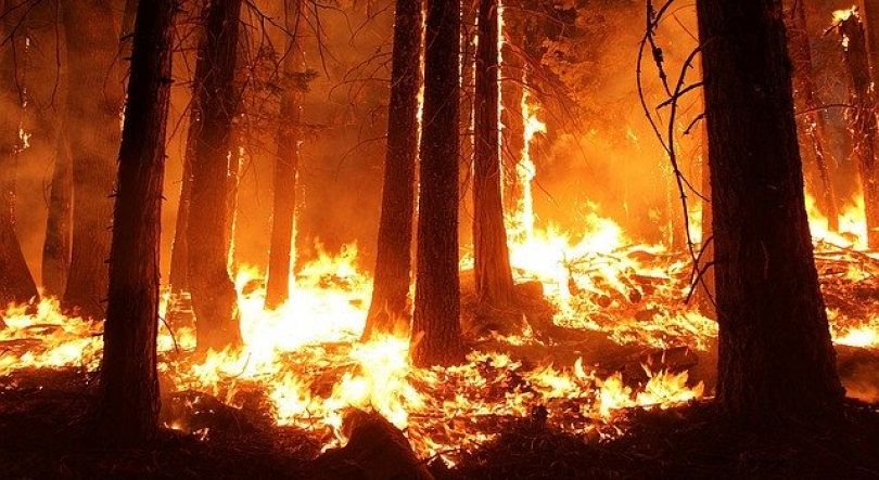 Imagem de Incêndios: Sernancelhe defende apoios para casas de emigrantes