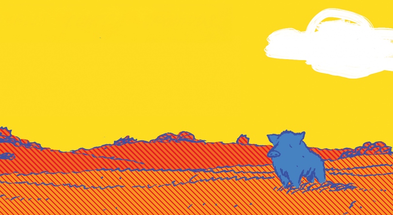 Imagem de Histórias à Sombra do Montado